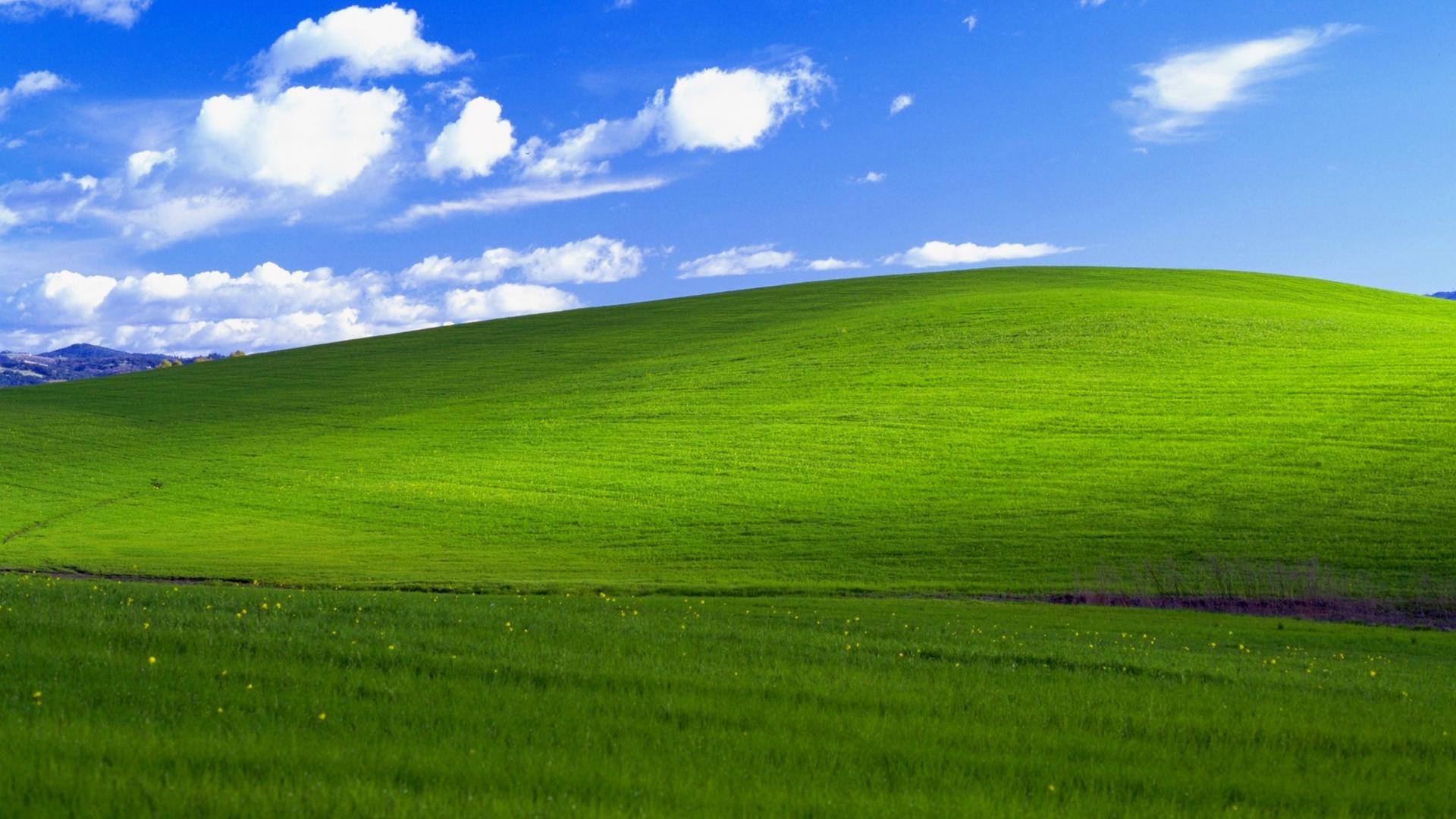 Windows Xp - Funny Meeting Backgrounds